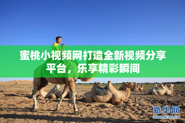 蜜桃小视频网打造全新视频分享平台，乐享精彩瞬间