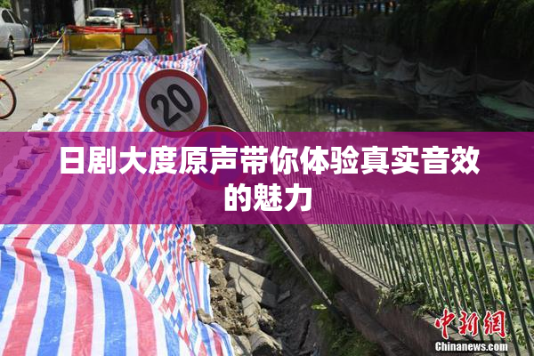日剧大度原声带你体验真实音效的魅力