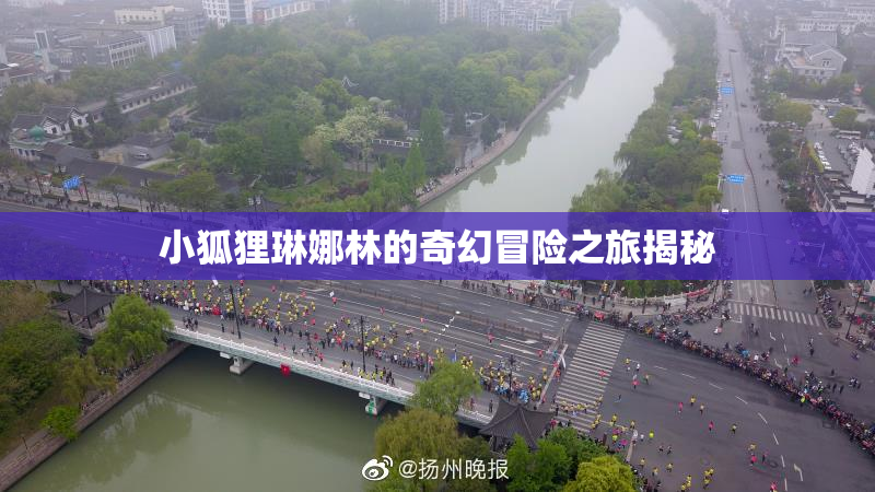 小狐狸琳娜林的奇幻冒险之旅揭秘