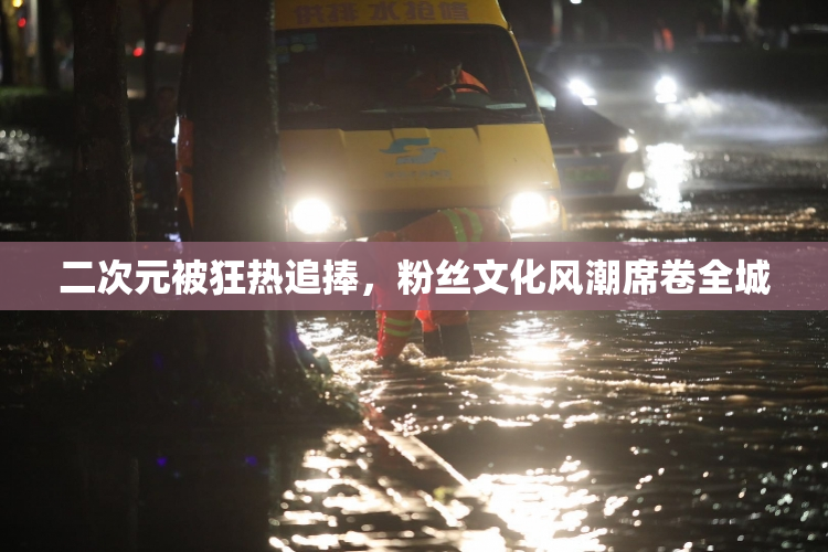 二次元被狂热追捧，粉丝文化风潮席卷全城