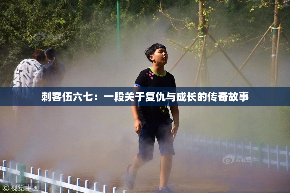 刺客伍六七：一段关于复仇与成长的传奇故事