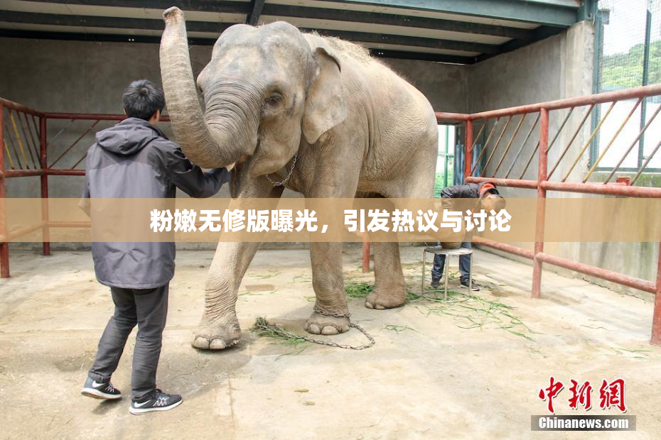 粉嫩无修版曝光，引发热议与讨论