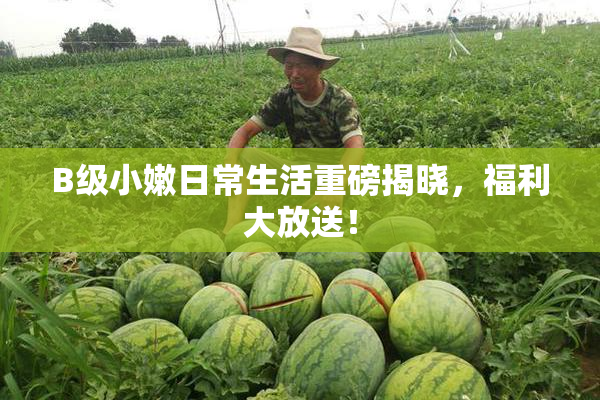 B级小嫩日常生活重磅揭晓，福利大放送！