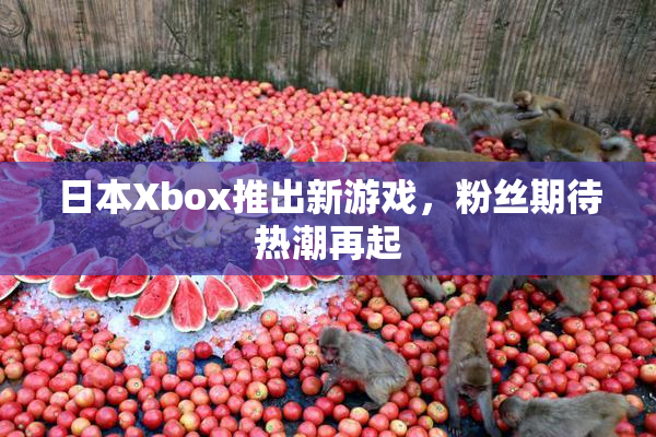 日本Xbox推出新游戏，粉丝期待热潮再起