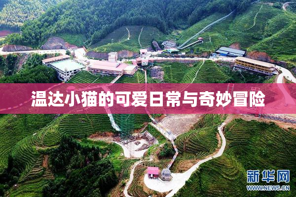 温达小猫的可爱日常与奇妙冒险
