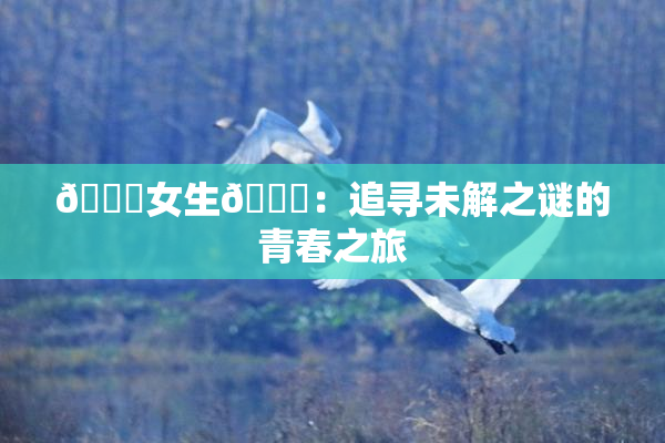 🔞女生🍆：追寻未解之谜的青春之旅