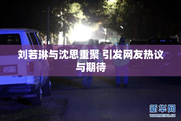 刘若琳与沈思重聚 引发网友热议与期待