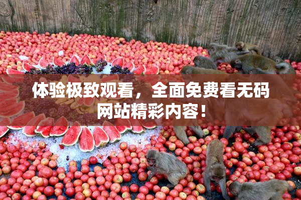 体验极致观看，全面免费看无码网站精彩内容！