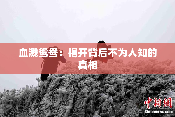 血溅鸳鸯：揭开背后不为人知的真相