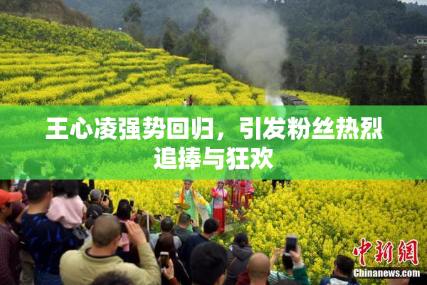 王心凌强势回归，引发粉丝热烈追捧与狂欢