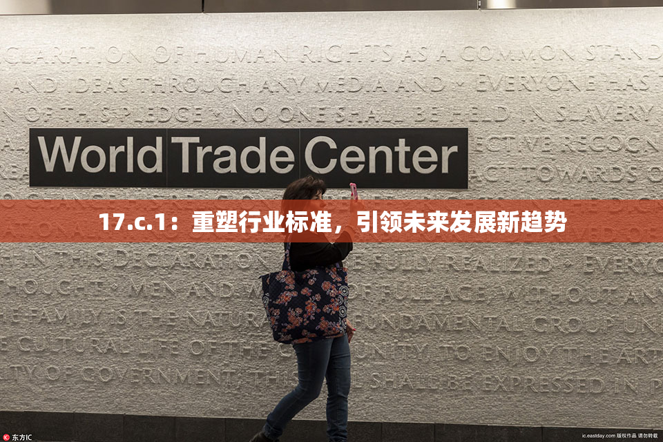 17.c.1：重塑行业标准，引领未来发展新趋势