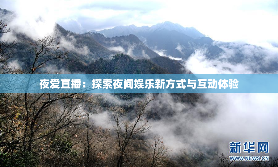 夜爱直播：探索夜间娱乐新方式与互动体验