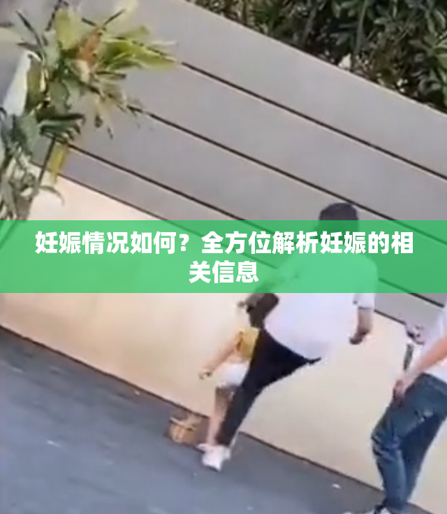妊娠情况如何？全方位解析妊娠的相关信息