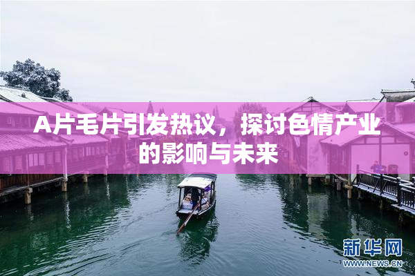 A片毛片引发热议，探讨色情产业的影响与未来