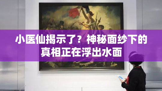 小医仙揭示了？神秘面纱下的真相正在浮出水面