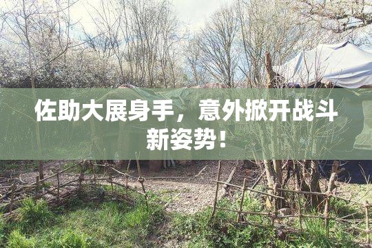 佐助大展身手，意外掀开战斗新姿势！