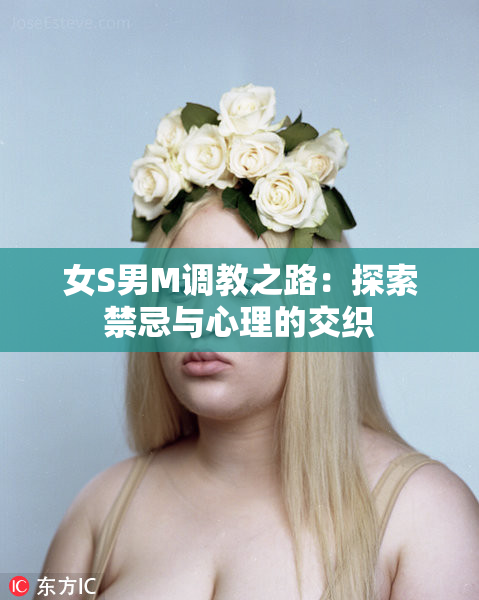 女S男M调教之路：探索禁忌与心理的交织
