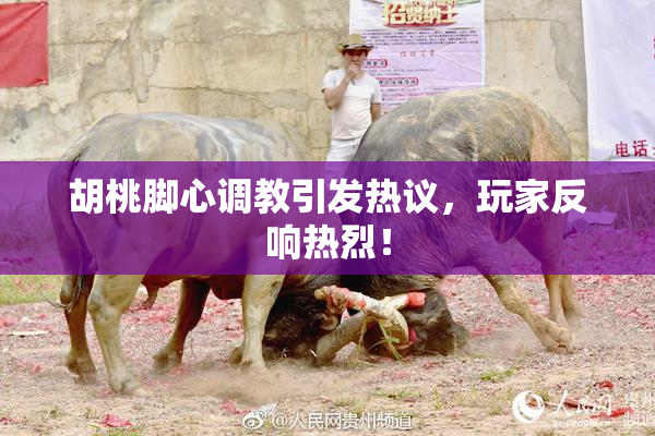 胡桃脚心调教引发热议，玩家反响热烈！