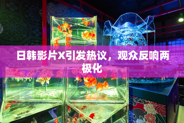 日韩影片X引发热议，观众反响两极化