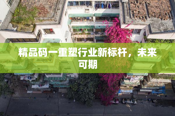 精品码一重塑行业新标杆，未来可期