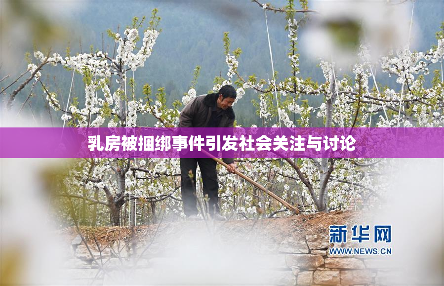 乳房被捆绑事件引发社会关注与讨论