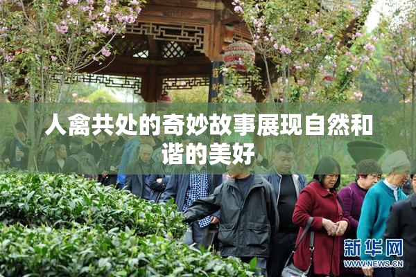 人禽共处的奇妙故事展现自然和谐的美好