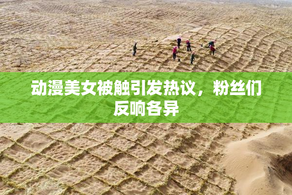 动漫美女被触引发热议，粉丝们反响各异