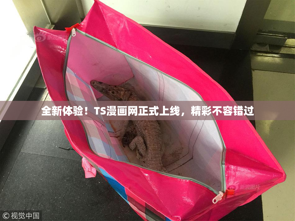 全新体验！TS漫画网正式上线，精彩不容错过