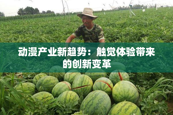 动漫产业新趋势：触觉体验带来的创新变革