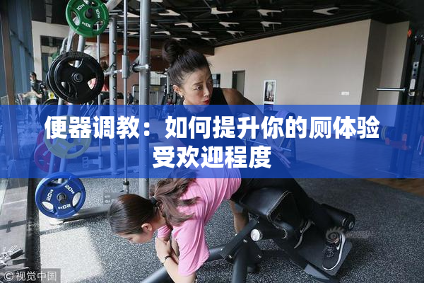 便器调教：如何提升你的厕体验受欢迎程度