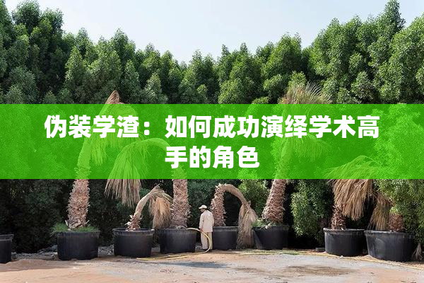 伪装学渣：如何成功演绎学术高手的角色
