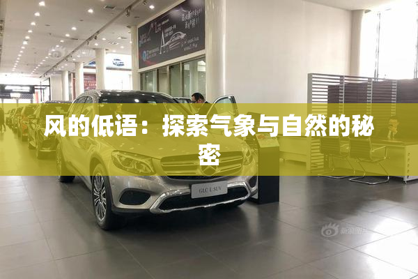 风的低语：探索气象与自然的秘密