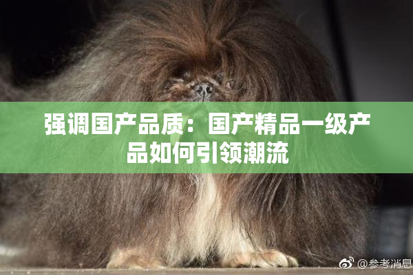 强调国产品质：国产精品一级产品如何引领潮流