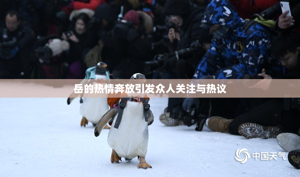 岳的热情奔放引发众人关注与热议