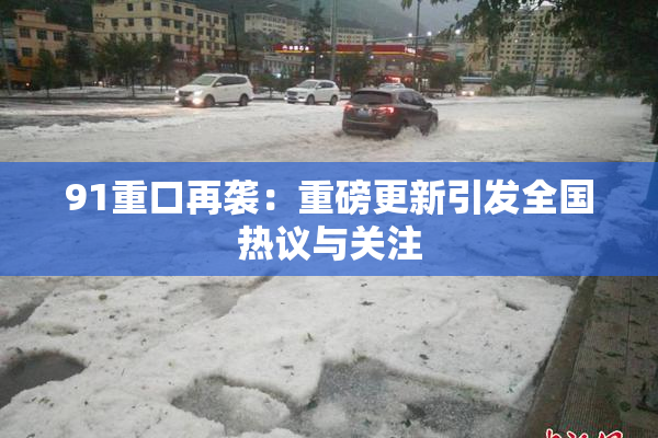 91重口再袭：重磅更新引发全国热议与关注