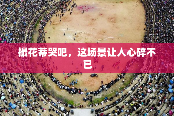 撮花蒂哭吧，这场景让人心碎不已