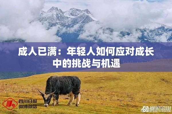 成人已满：年轻人如何应对成长中的挑战与机遇