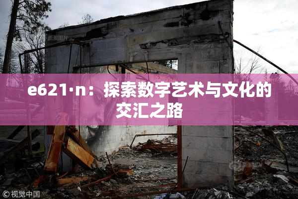 e621·n：探索数字艺术与文化的交汇之路