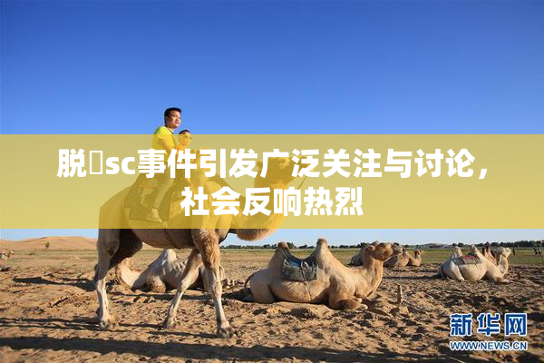脱糞sc事件引发广泛关注与讨论，社会反响热烈