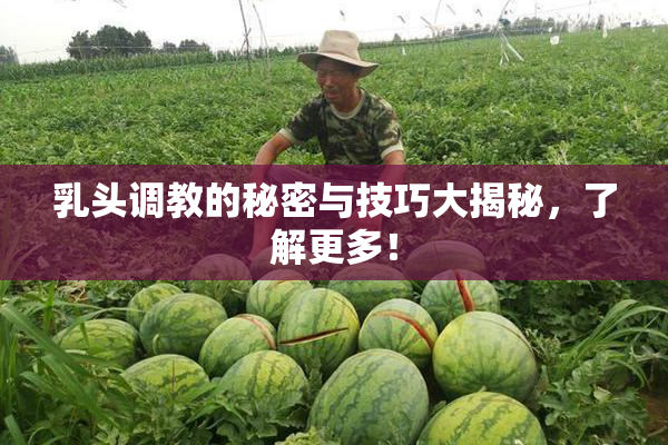 乳头调教的秘密与技巧大揭秘，了解更多！