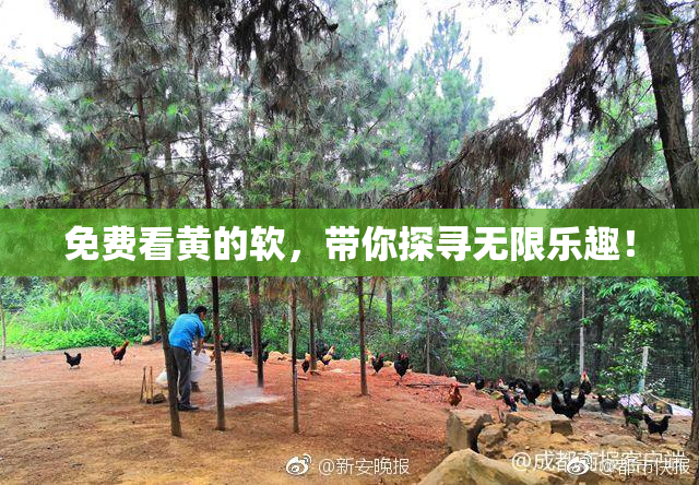 免费看黄的软，带你探寻无限乐趣！