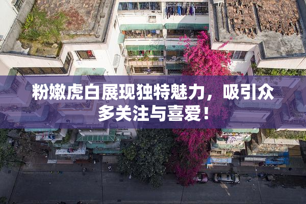 粉嫩虎白展现独特魅力，吸引众多关注与喜爱！
