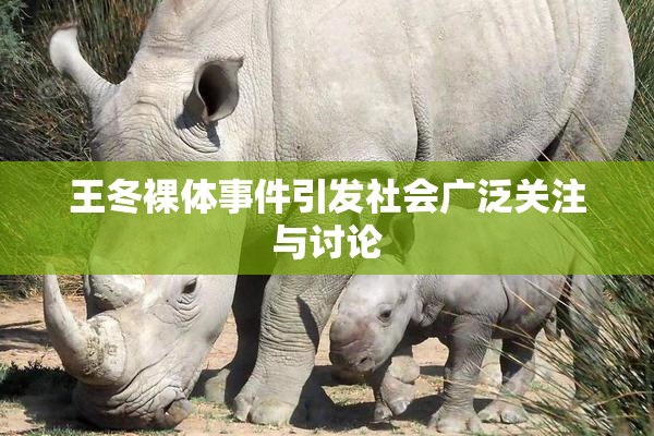 王冬裸体事件引发社会广泛关注与讨论