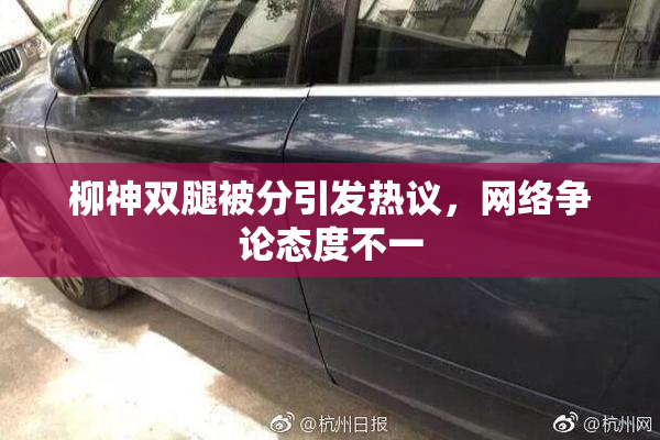 柳神双腿被分引发热议，网络争论态度不一