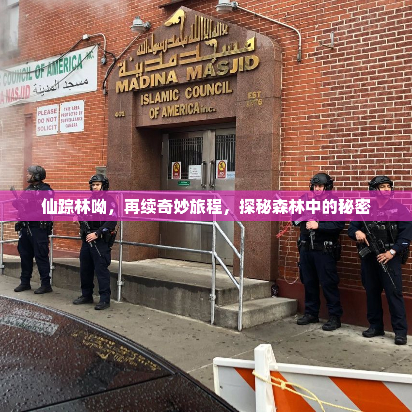 仙踪林呦，再续奇妙旅程，探秘森林中的秘密