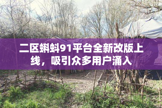二区蝌蚪91平台全新改版上线，吸引众多用户涌入