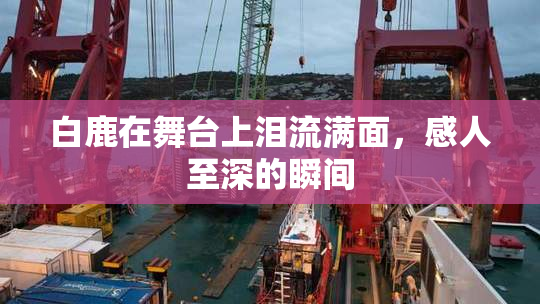 白鹿在舞台上泪流满面，感人至深的瞬间