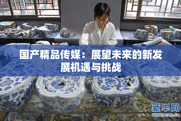 国产精品传媒：展望未来的新发展机遇与挑战