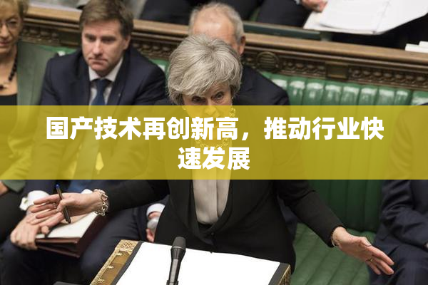 国产技术再创新高，推动行业快速发展