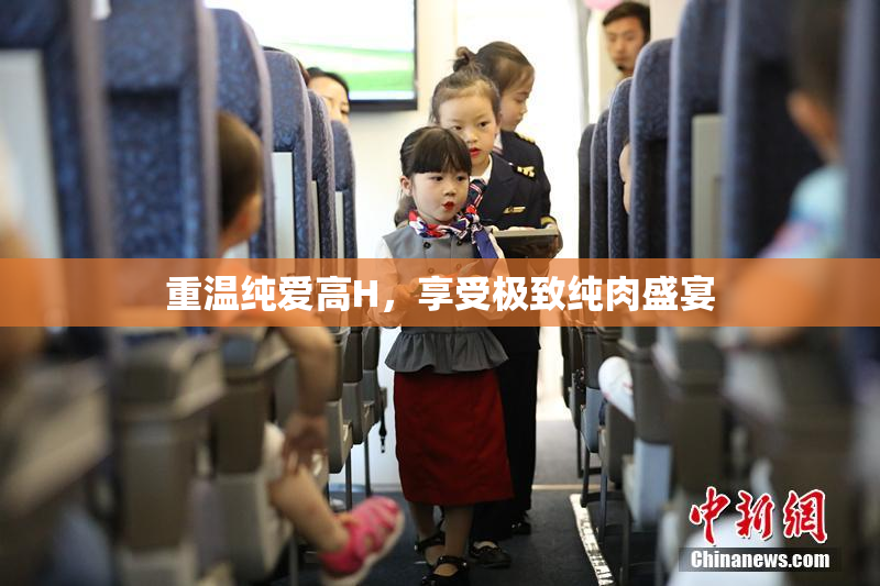 重温纯爱高H，享受极致纯肉盛宴